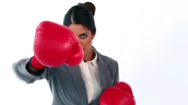 Serious secretary boxing — Stock Video