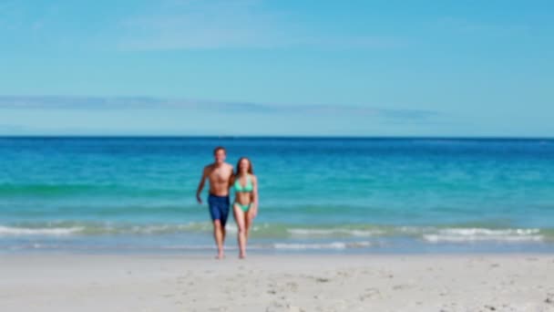 Smiling couple walking together — Stock Video