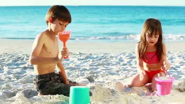 Siblings building sand castles — Stock Video