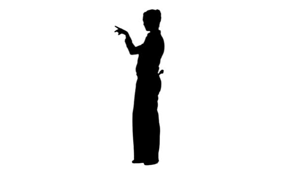 Silhouette woman giving a presentation — Stock Video