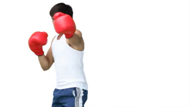 Un uomo che pratica la sua kickboxing — Video Stock