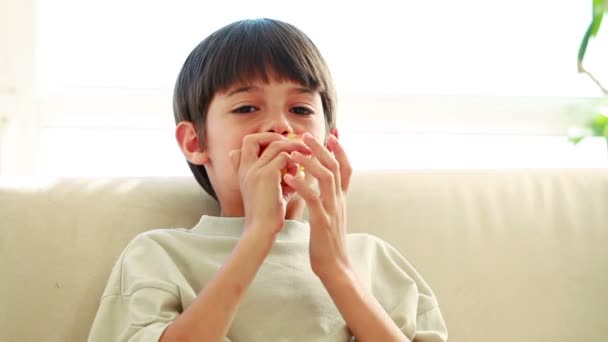 Enfant souriant mangeant une pomme rouge — Video