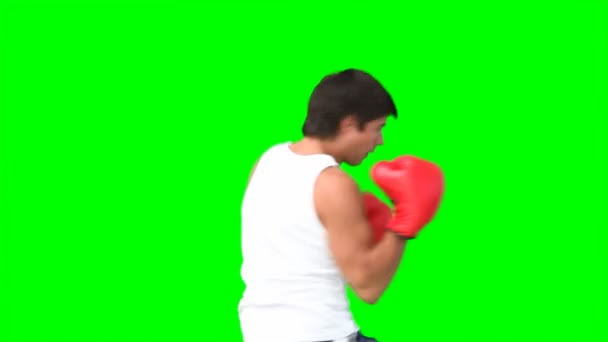 Um homem pratica kickboxing — Vídeo de Stock