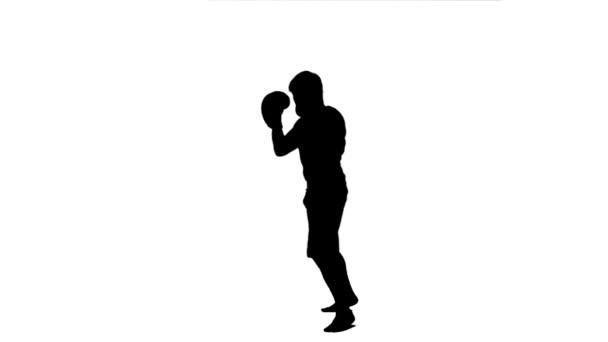 Silueta de un hombre practicando kickboxing — Vídeos de Stock