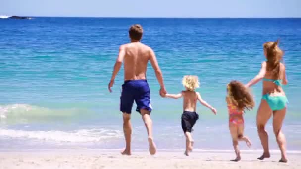 Smiling family running and splashing each other — Stock Video