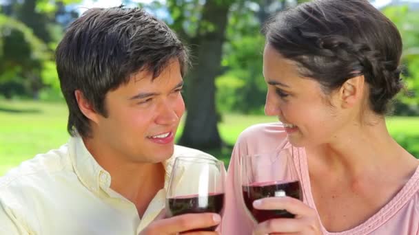 Couple heureux cliquetis leurs verres de vin rouge — Video