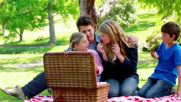 Family picnicking together — Stock Video