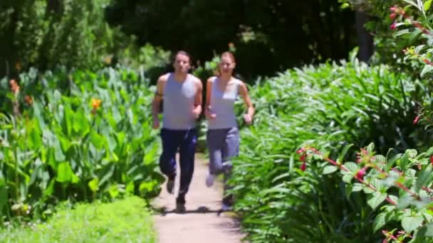 Щаслива пара біжить разом — стокове відео