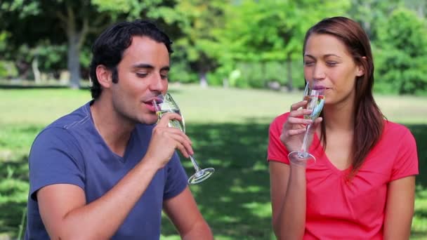 Gelukkige paar rammelende hun fluiten van champagne — Stockvideo