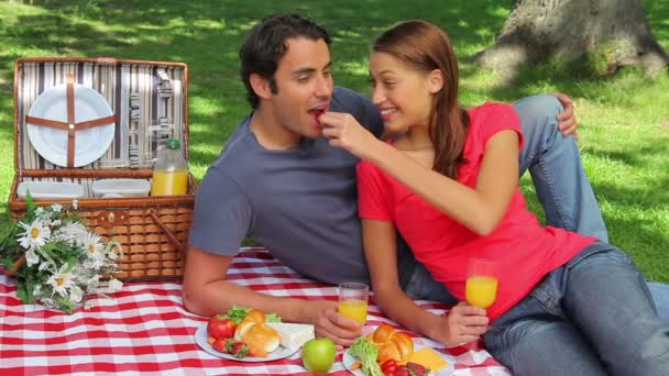 Счастливая пара сидит на одеяле во время пикника — стоковое видео