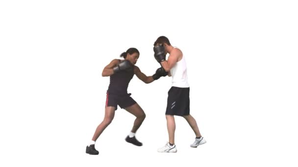 Two men sparring together with gloves in slow motion — Stock Video