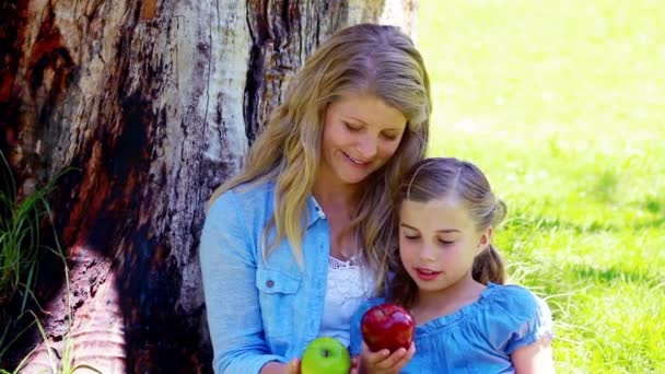 Mother and daughter holding apples — Stock Video