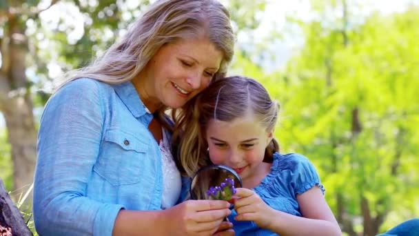 Mother and daughter using a magnifying glass — Stock Video