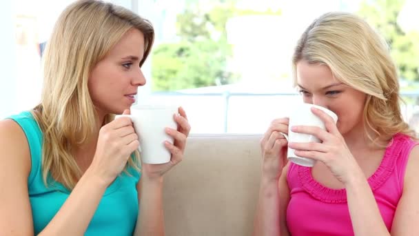 Twee blonde vrouwen drinken koffie — Stockvideo