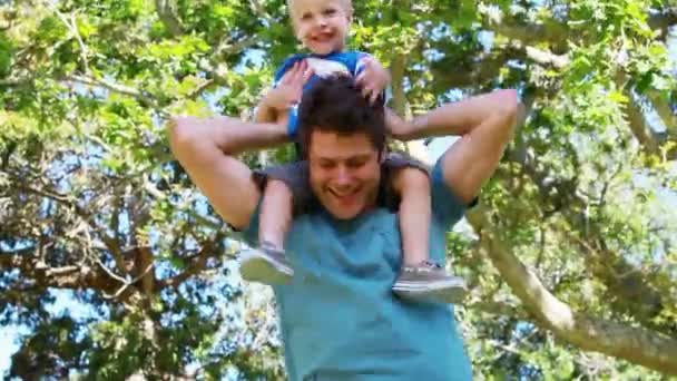 Man playing with his son on his shoulders — Stock Video