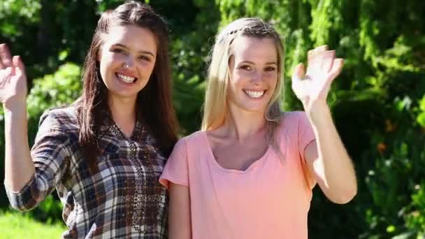 Happy women waving their hands — Stock Video