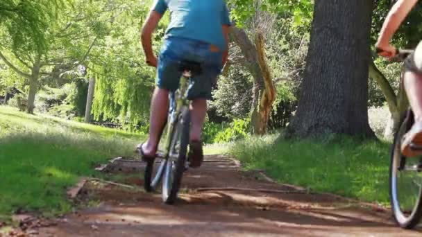 カップルの自転車の背面図 — ストック動画