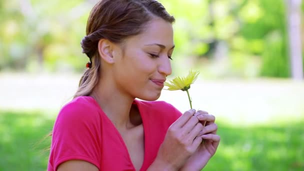 黄色の花を保持している幸せのブルネットの女性 — ストック動画