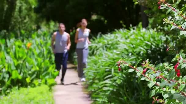 Gelukkige paar joggen samen — Stockvideo