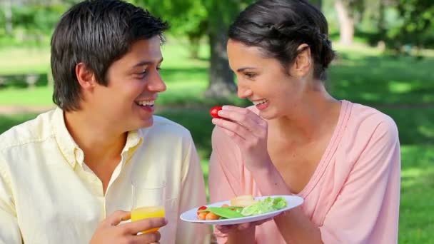 Mujer sonriente alimentando a su novio durante un picnic — Vídeo de stock