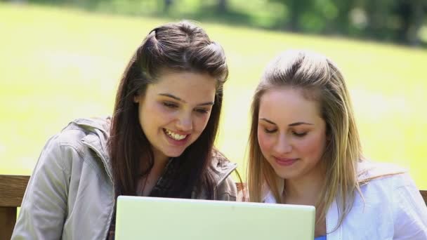 Happy friends using a laptop — Stock Video