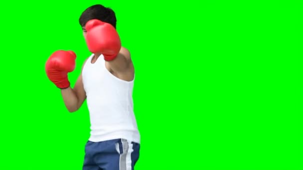 En man utövar sin kick-boxning — Stockvideo