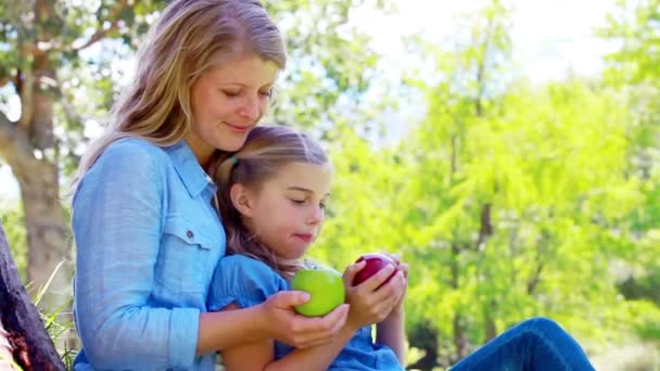 Daughter and mother holding apples — Stock Video