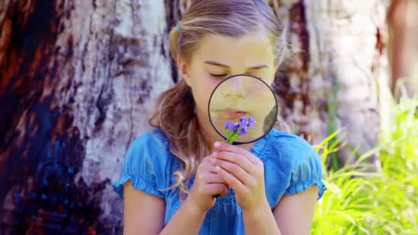 Girl using a magnifying glass — Stock Video