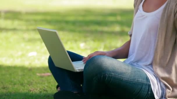 Donna seduta sull'erba sta usando un computer portatile — Video Stock