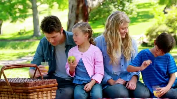 家庭一起野餐 — 图库视频影像