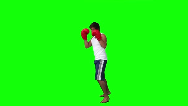 Ein Mann praktiziert Kickboxen — Stockvideo