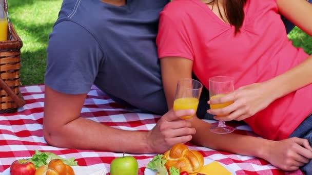 Lachende paar zittend op een deken tijdens een picknick — Stockvideo