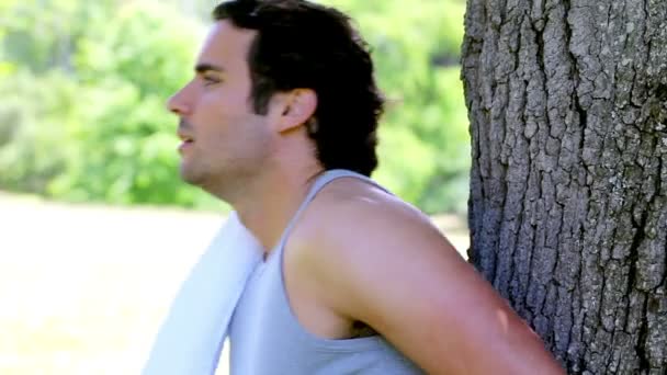 Brunette man leaning against a tree — Stock Video