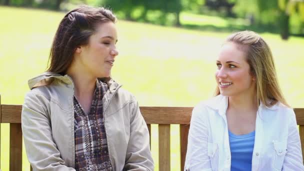 Jovens felizes conversando — Vídeo de Stock