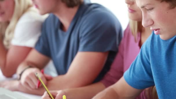 Estudiantes serios preparando sus títulos — Vídeo de stock