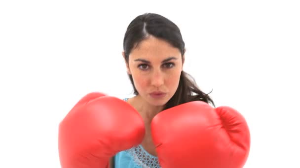 Mulher séria usando luvas de boxe — Vídeo de Stock