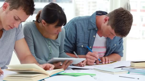 Estudiantes alegres hablando juntos mientras estudian — Vídeos de Stock