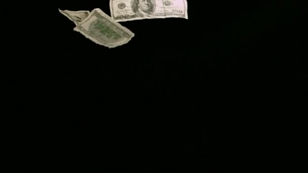 Bank notes in super slow motion dropping — Stock Video