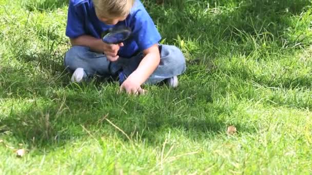 Мальчик смотрит на траву с увеличительным стеклом — стоковое видео