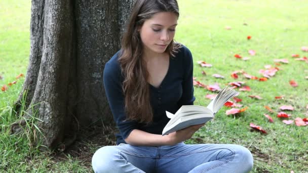 Frau liest ein Buch neben einem Baum — Stockvideo