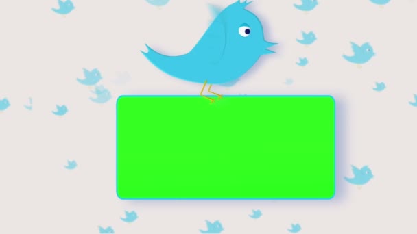 Chroma key screens holding by a bird — Stock Video
