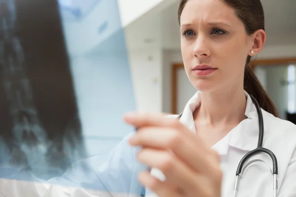 Female doctor examining x-ray — Stock Photo, Image