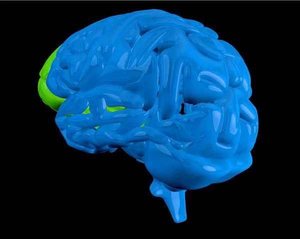 Cerveau bleu avec lobe frontal surligné — Photo
