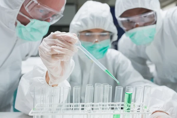 Chemist adding green liquid to test tubes as two others are watc — Stock Photo, Image