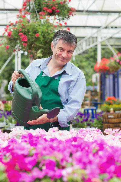 Uomo irrigazione piante — Foto Stock