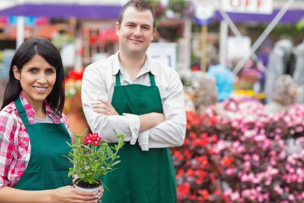 Twee lachende tuincentrum werknemers — Stockfoto