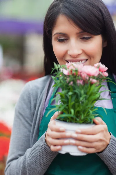 Florist holding flower while smelling it — Stock Photo, Image