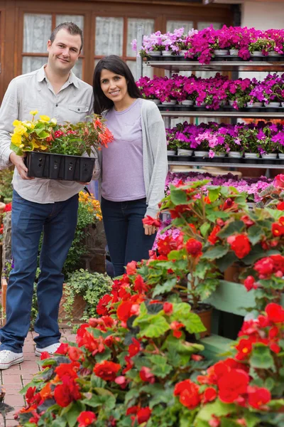 Happy couple carrying tray of plants — Stock Photo, Image