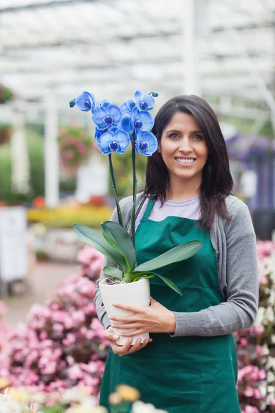 Woman holding a flower in the garden centre — Stock Photo, Image