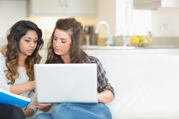 Girls working with laptop — Stock Photo, Image